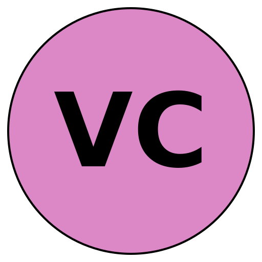 VoyConfidence
